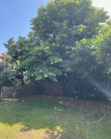 Casa de Férias Torriciola Location Murier Propriano (Corsica)